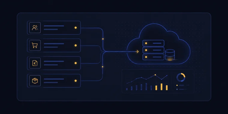 Illustrazione — Cloud & ERP