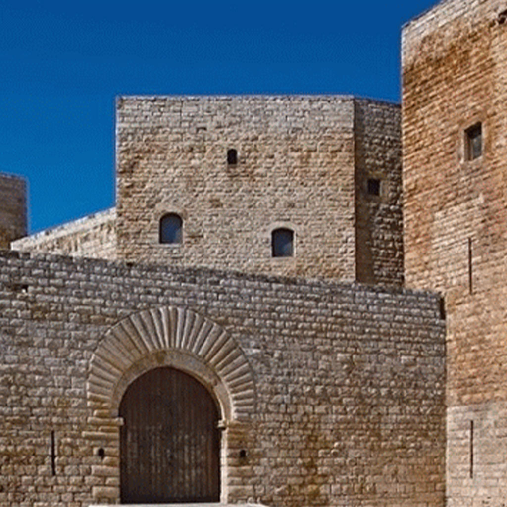Comune di Sannicandro di Bari — Software Cloud per la Gestione Coattiva dei tributi