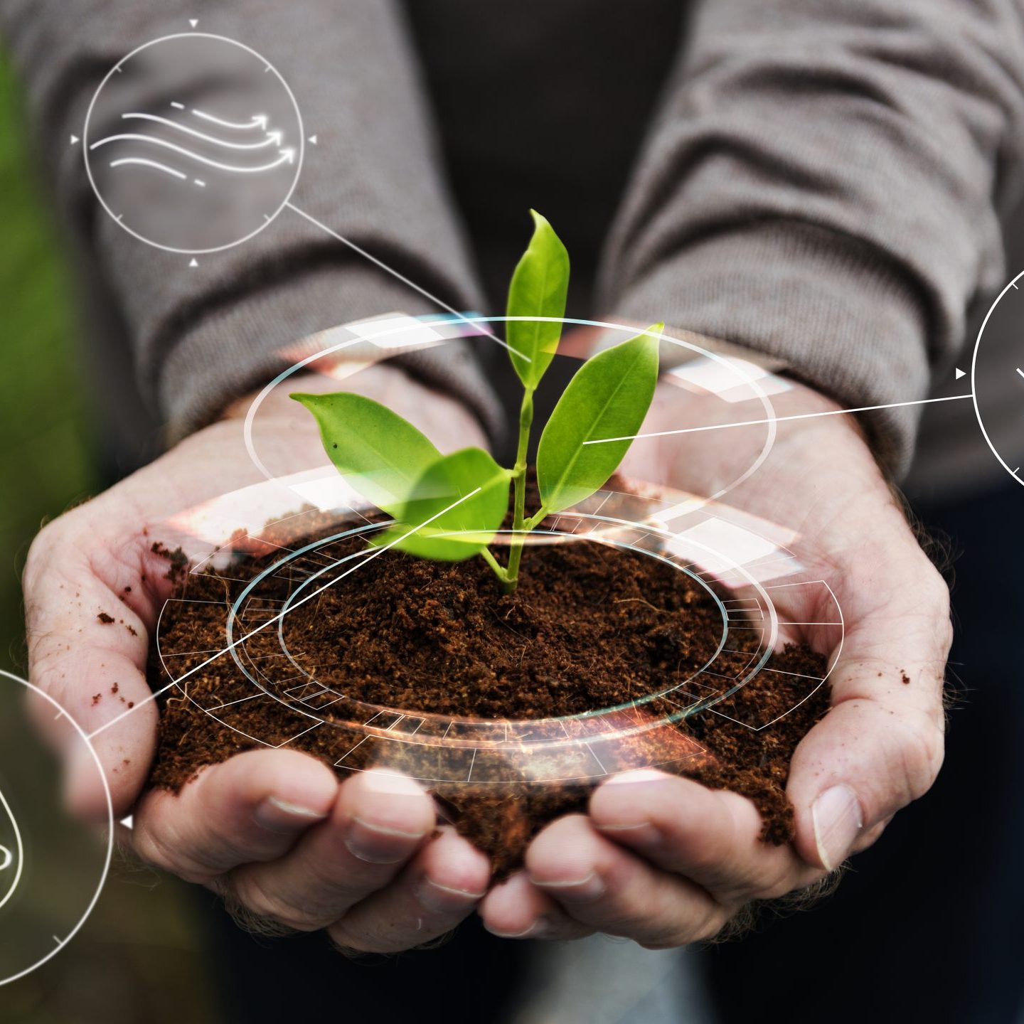 Solar Fetigation — Sistema IoT per irrigazione di precisione alimentata a fotovoltaico.